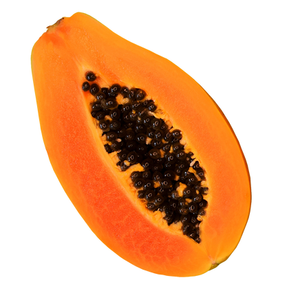 Papaya Extract