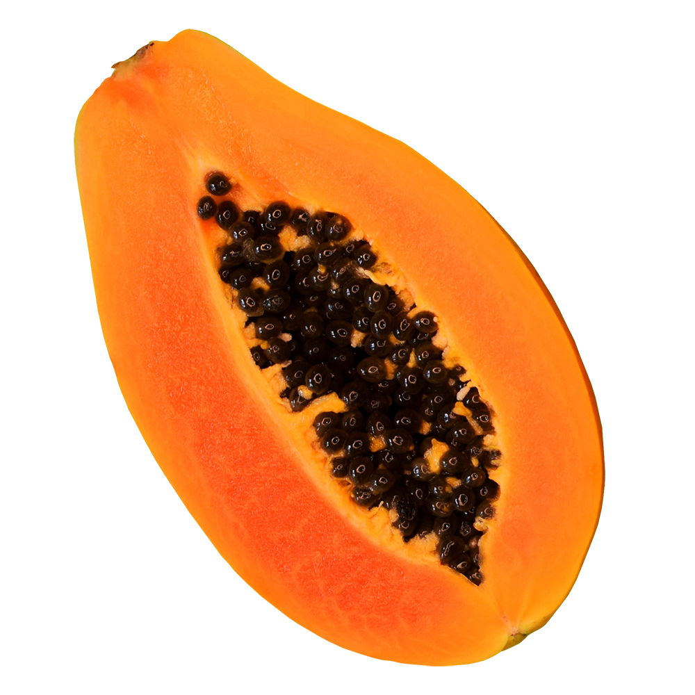 Papaya Extract