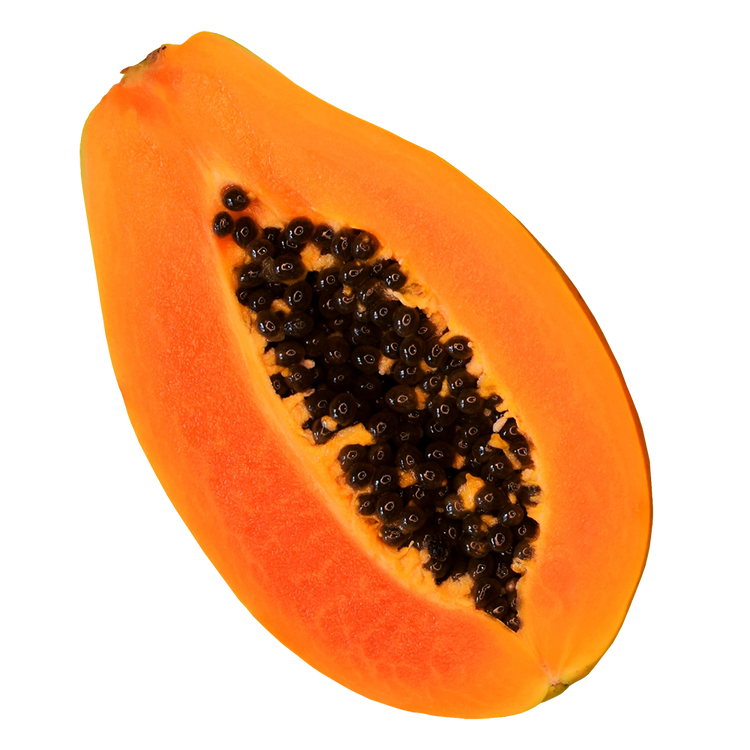 Papaya Extract