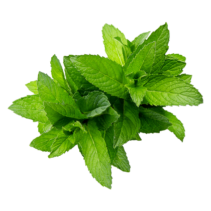 Peppermint Oil