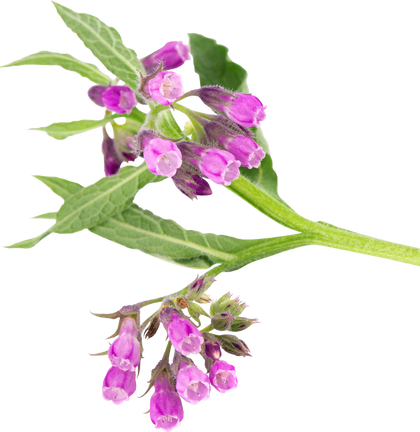 Allantoin 